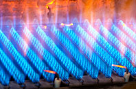 Taynton gas fired boilers